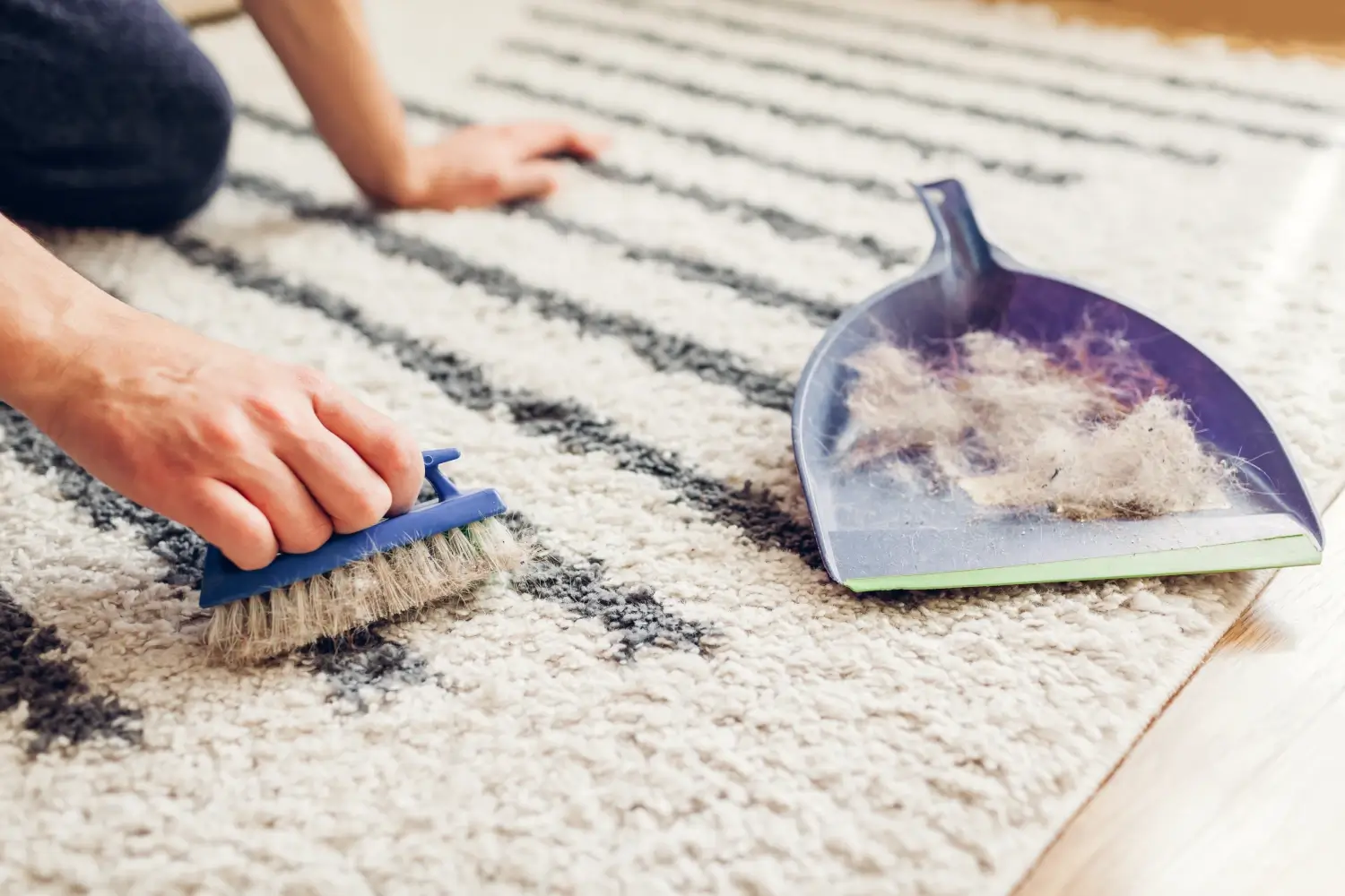 Tips and Tricks for Effective Carpet Cleaning image