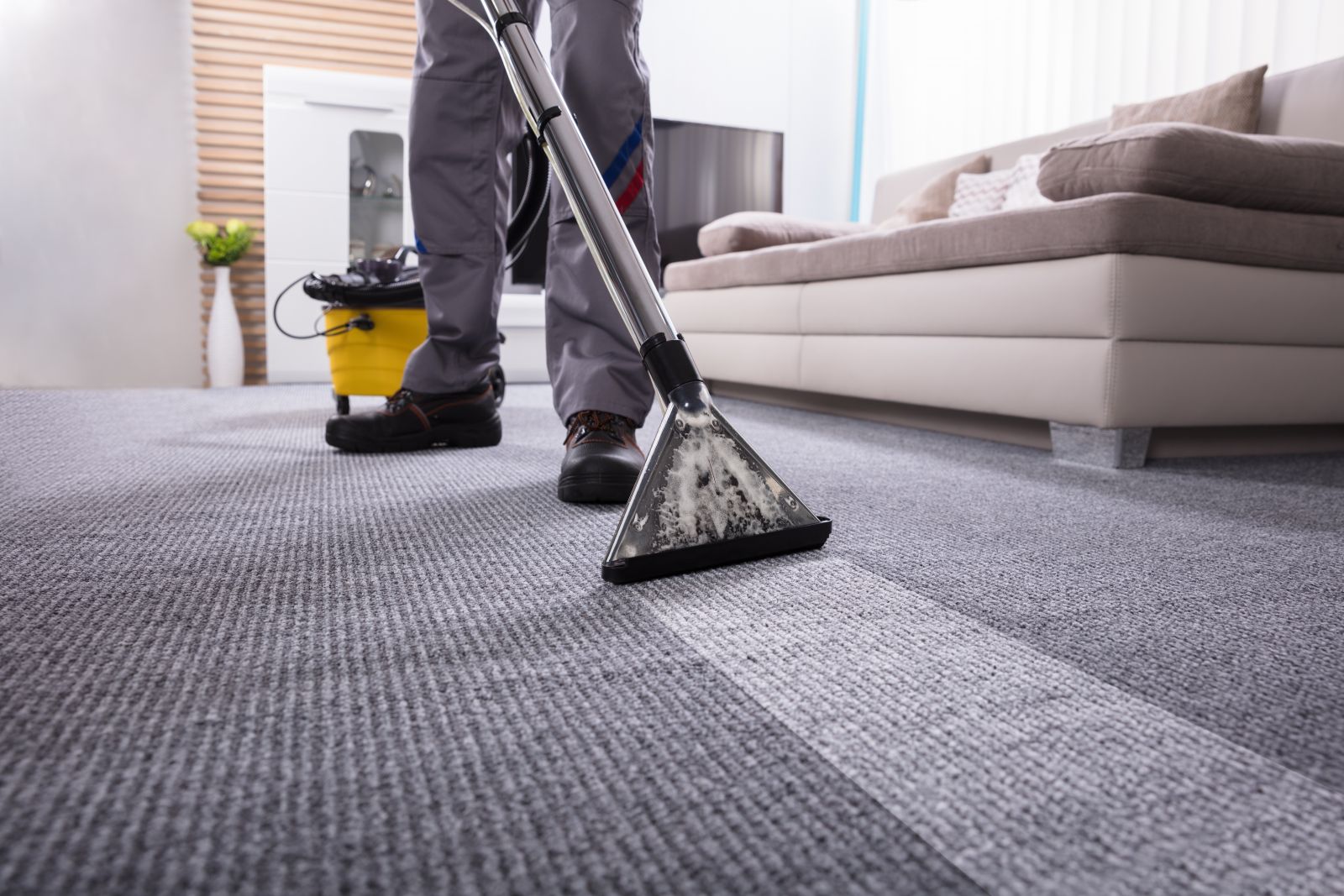 Why Fast Carpet Cleaning Service Delphi IN Is a Game Changer for Your Home image