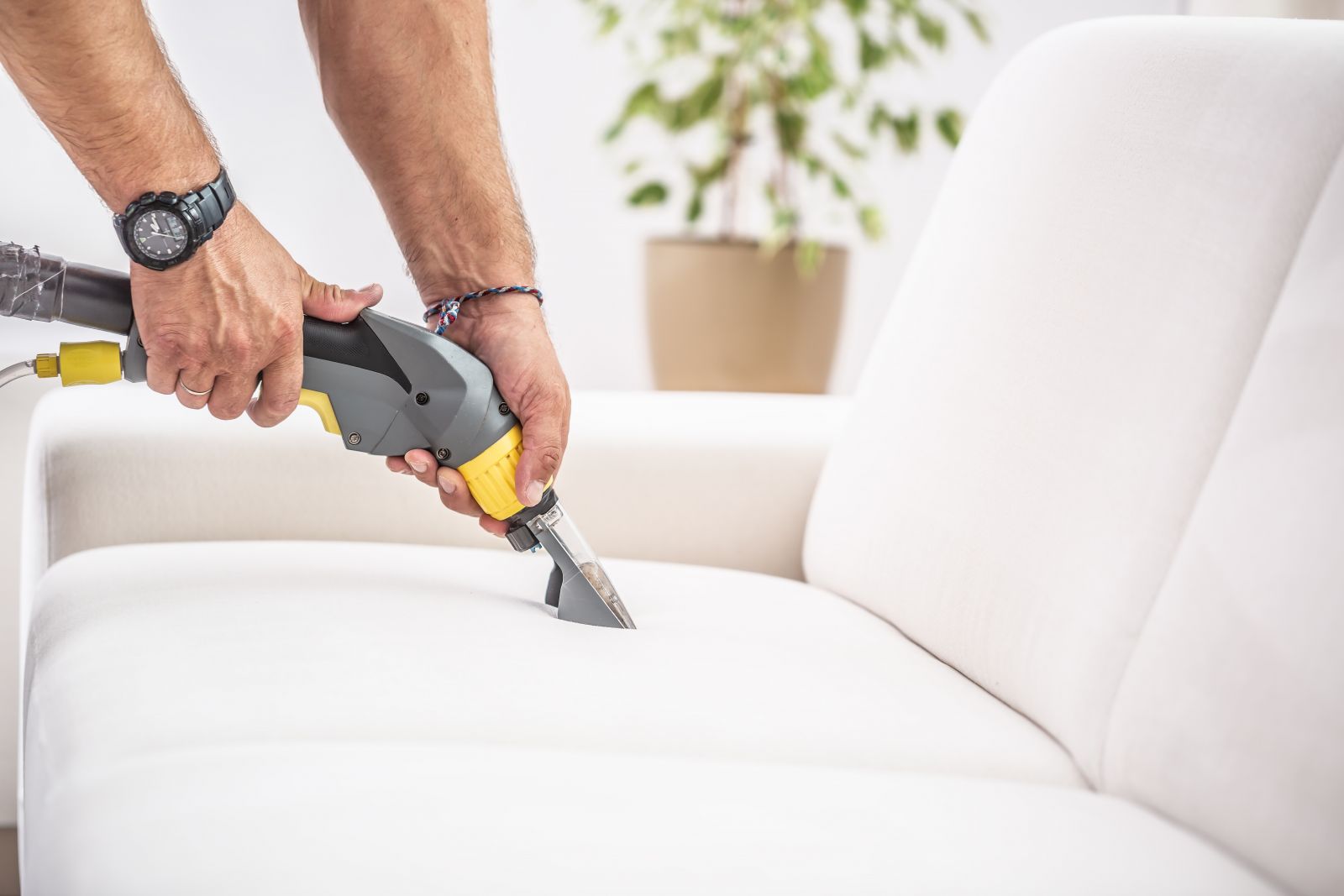 Top-10 Expert Tips for High-Quality Furniture Cleaning Lafayette IN image