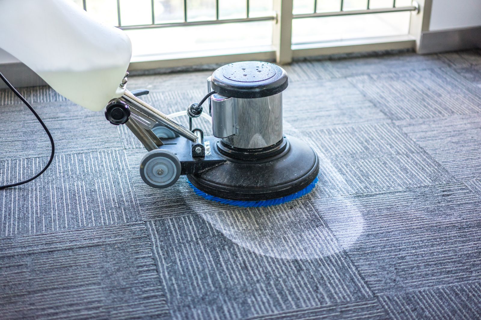 3 Signs Your Carpet Needs Professional Cleaning Now image