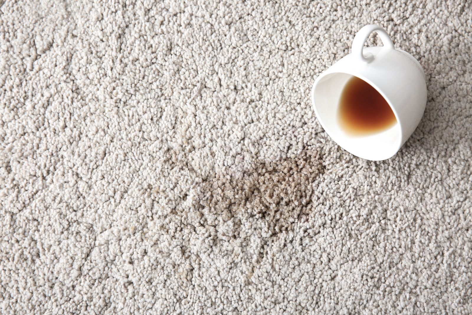 Top-10 Reasons to Choose Carpet Protection Services Rossville image