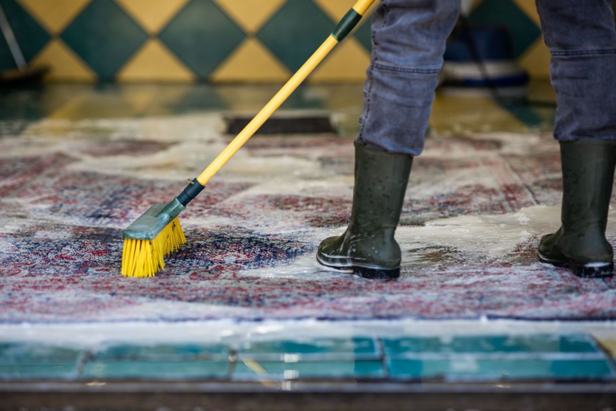 6 Common Carpet Cleaning Mistakes and How to Avoid Them image