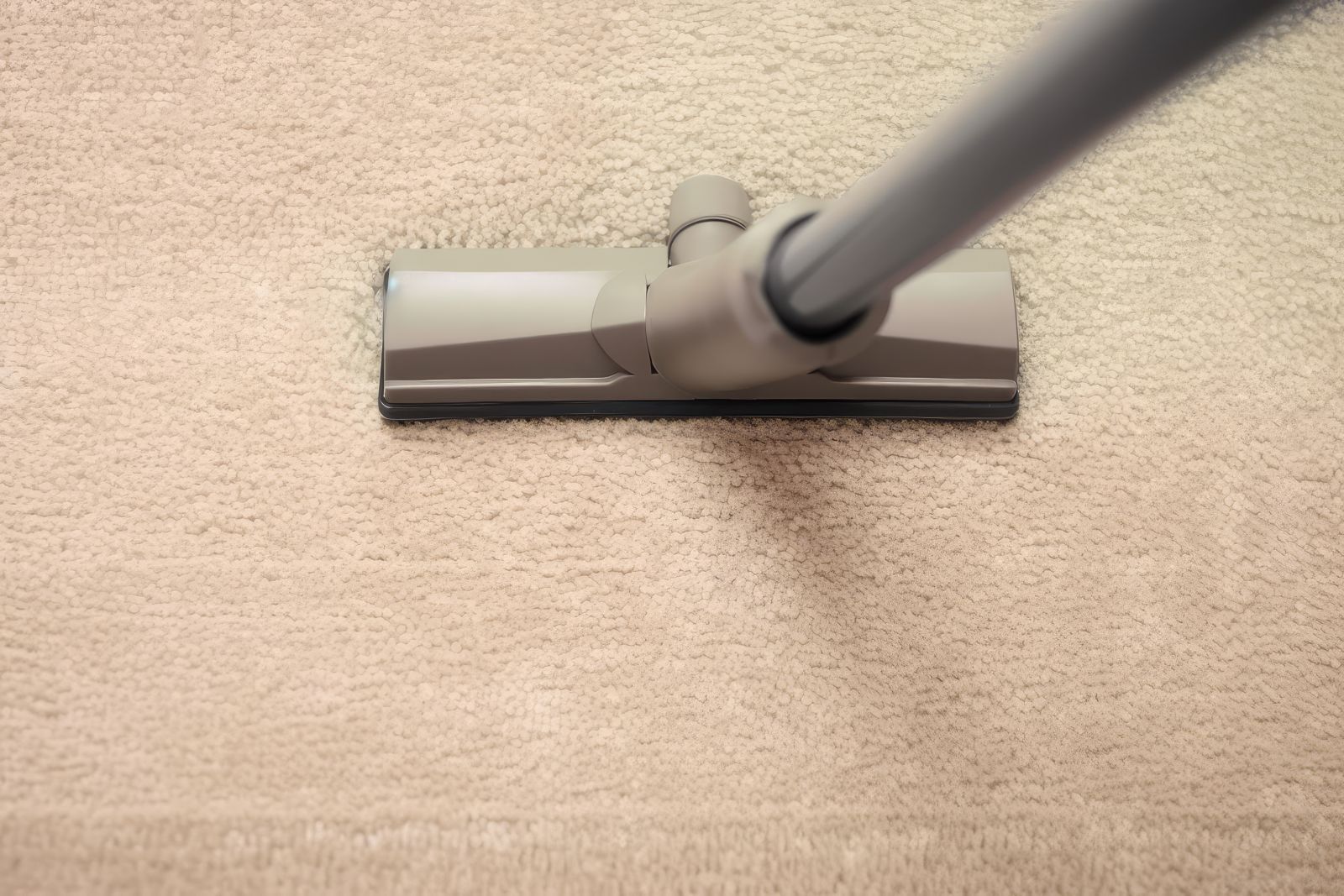 Fast Carpet Cleaning Service Indiana: Revitalize Your Home with Expert Cleaning Solutions image