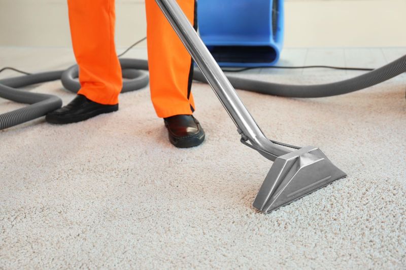 The Science Behind Carpet Cleaning: Understanding the Process image